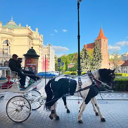 With Separate Bedroom In The Heart Of Krakow, Market Square Apartment